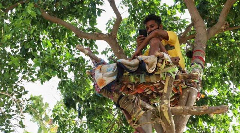 বাড়িতে নিভৃতবাসের ব্যবস্থা নেই, অগত্যা ‘গাছবাড়ি’তেই ঠাঁই করোনা আক্রান্ত তরুণের