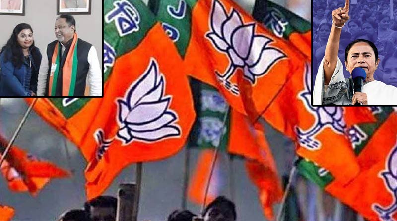 ‘মমতাকে প্রধানমন্ত্রী দেখতে চাই’, টুইট করে মুকুল ঘনিষ্ঠ বিজেপি নেত্রীর দলত্যাগ