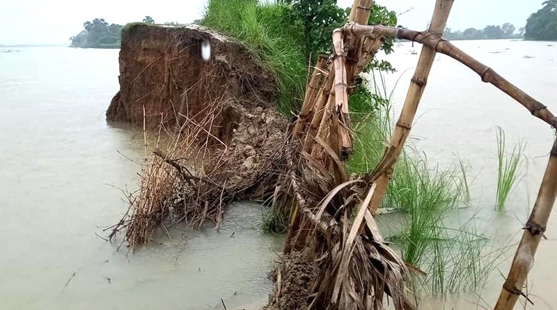 বর্ষার জলে ভয়াবহ ভাগীরথী নদী, রাস্তা ভেঙে বিচ্ছিন্ন বর্ধমানের নতুনগ্রাম