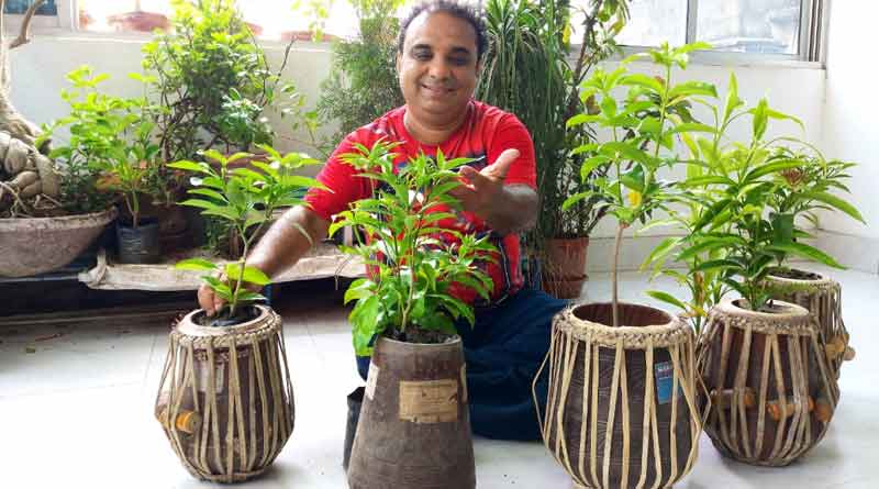 নষ্ট হওয়া তবলাতে গাছ লাগিয়ে প্রাণ প্রতিষ্ঠা, পরিবেশ রক্ষায় অভিনব ভাবনা শিল্পীর