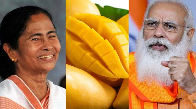 রাজনৈতিক বৈরিতা ভুলে প্রধানমন্ত্রীকে আম উপহার দিলেন মমতা