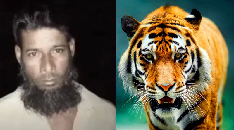 ৭০টি বাঘ খুন করে বাংলাদেশে গ্রেপ্তার সুন্দরবনের ত্রাস ‘টাইগার হাবিব’