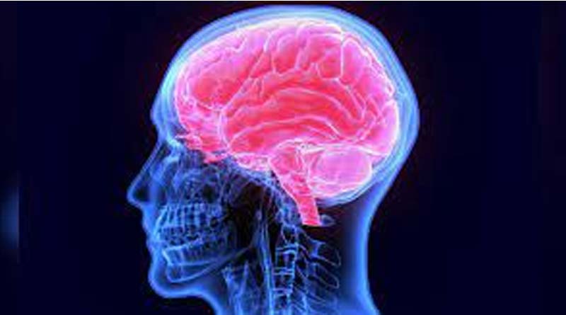 COVID-19 infection may affect grey matter of brain। Sangbad Pratidin