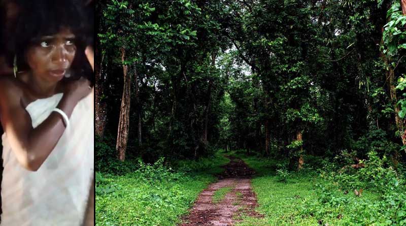পরনে সাদা শাড়ি, মুখে বিকট শব্দ, লাটাগুড়ির জঙ্গলে দাপাদাপি ‘জ্যান্ত পেত্নী’র!