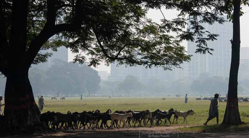 ময়দানে প্রাতঃভ্রমণকারীর উপর হামলার কয়েকঘণ্টার মধ্যেই পর্দাফাঁস, গ্রেপ্তার ২ দুষ্কৃতী