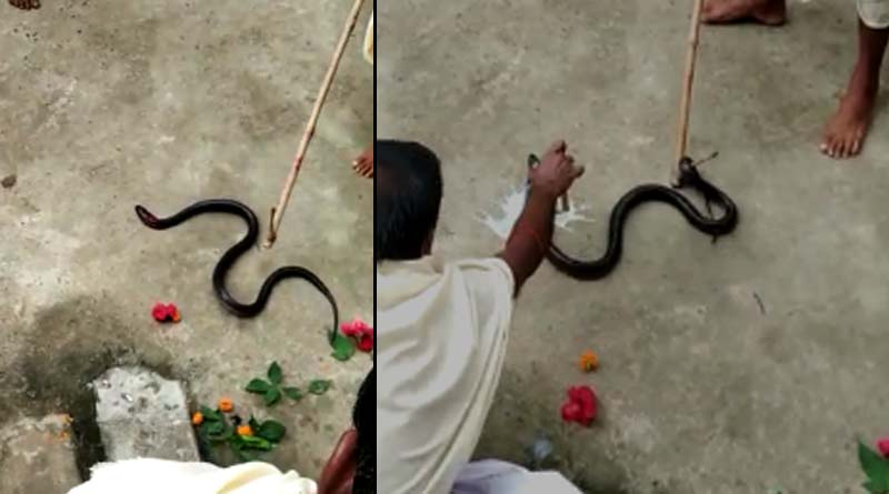 People of Purba Bardhaman's Bhatar and Mangalkot offers puja to snake 'Jhankeswari' | Sangbad Pratidin