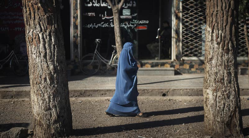 Taliban Urge Female Staff of Public Health Dept to Return to Work | Sangbad Pratidin