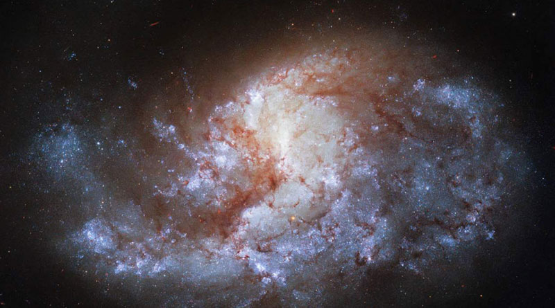 NASA shares a gorgeous Hubble image of galaxy NGC 1385 that's as bright as a jewel। Sangbad Pratidin