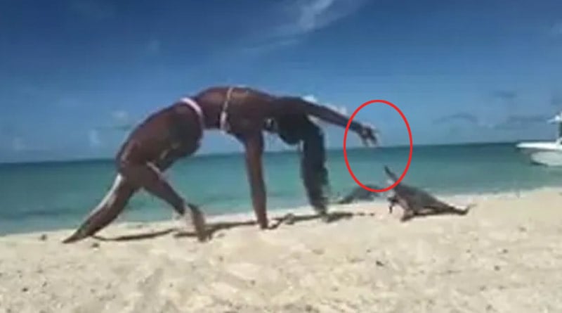 The woman bitten by iguana while doing Yoga at Bahamas beach | Sangbad Pratidin