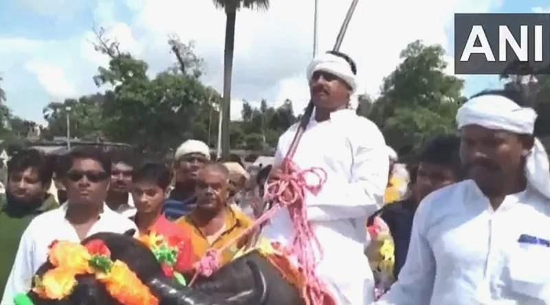 পেট্রল কেনার টাকা নেই! মোষের পিঠে চেপেই মনোনয়ন জমা দিলেন বিহারের পঞ্চায়েত ভোটের প্রার্থী