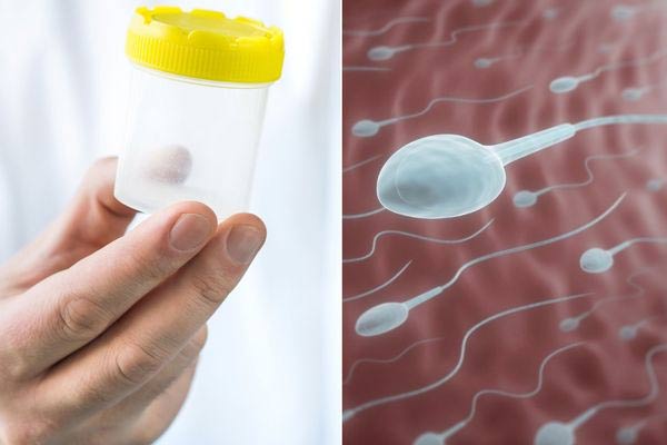 Sperm-Donor