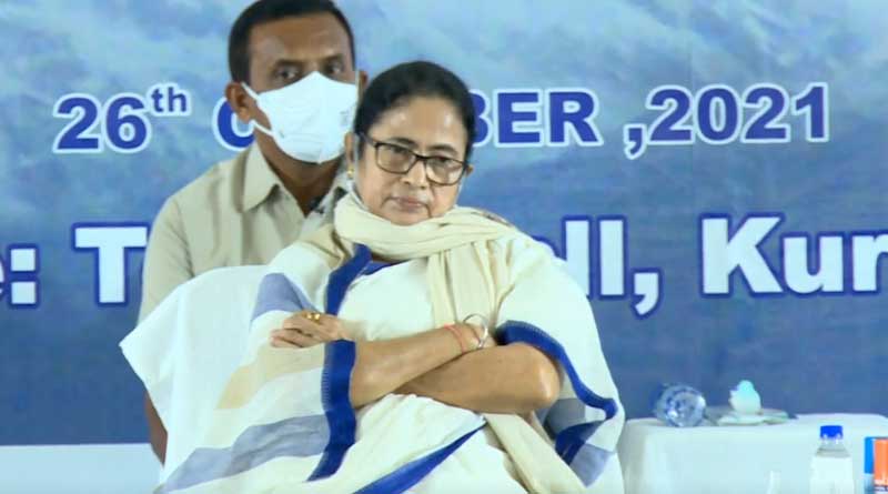 দার্জিলিংয়ে ‘সোনার খনি’ আছে, কাজে লাগাতে হবে! বিপুল কর্মসংস্থানের হদিশ দিলেন মমতা