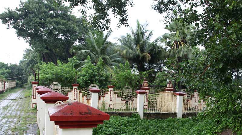 Now Kolkata to have medicinal herb garden of 'Panchabati' | Sangbad Pratidin
