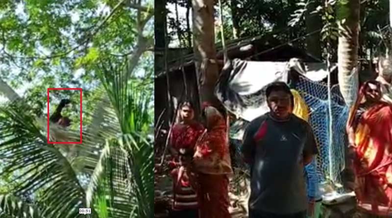 Drug addict climbs a top tree to escape rehab in Bongaon | Sangbad Pratidin
