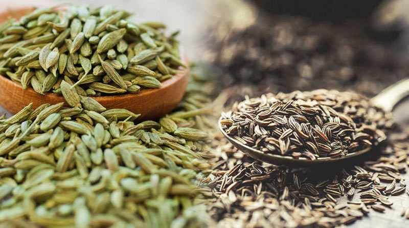 Durga Puja Lifestyle: Follow these home remedies to get rid of gas, heartburn, and acidity during Durga Puja