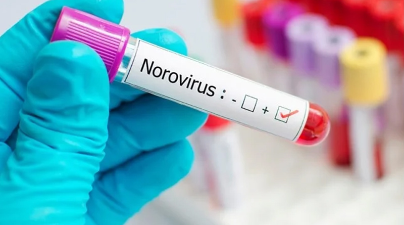Norovirus outbreak in Kerala: All you need to know about its symptoms, treatment and prevention