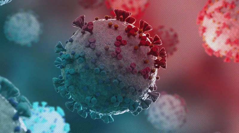 Coronavirus in India: New strain 'Omicron' has been detected in India | Sangbad Pratidin