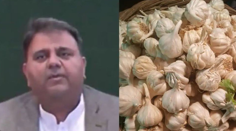 Pakistan's information minister Fawad Chaudhry claims 