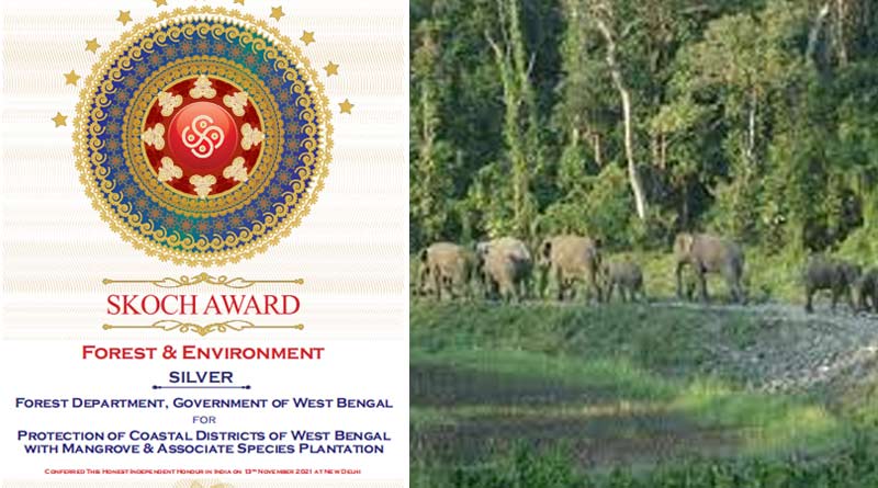 Forest Department of West Bengal gets 'SKOCH (Sliver) Award' for saving mangroves