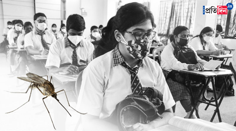 করোনা কালে স্কুল খুলতেই চরম বিপত্তি, পুরুলিয়ায় মশার উপদ্রবে ক্লাসের দফারফা!