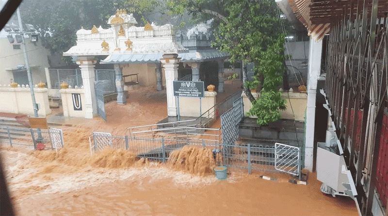 17 Dead and 100 Missing After Heavy Rain In Andhra Pradesh | Sangbad Pratidin