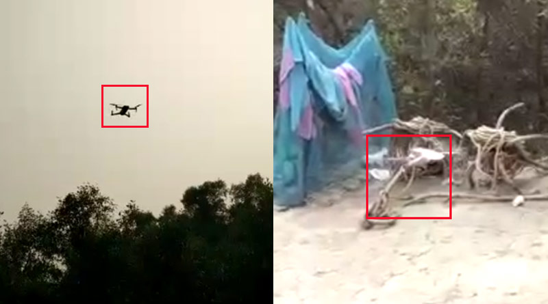 Drone search fails to locate Royal Bengal Tiger at Kultali | Sangbad Pratidin