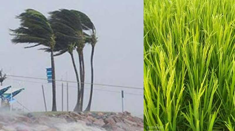 West Bengal state govt warned farmers on Cyclone Jawad | Sangbad Pratidin