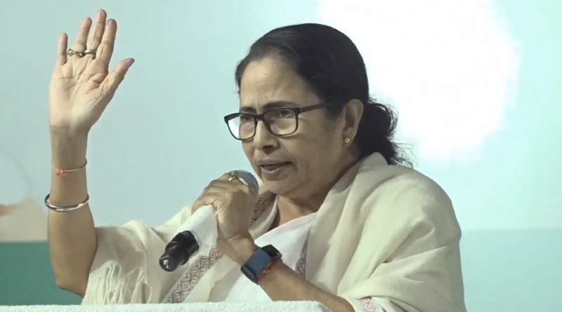 Mamata Banerjee says on Blue-white colour in Kolkata to refer developement of the city | Sangbad Pratidin