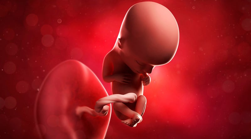 Foetus Has Found Inside Woman's Liver In Rare Pregnancy | Sangbad Pratidin