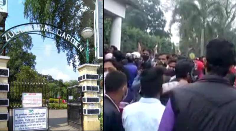 BJP-TMC clash errupts infront of Alipur Zoo over power change of the trade union that was controlled by BJP | Sangbad Pratidin