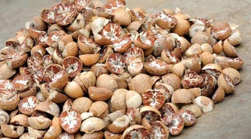 Mansukh Mandaviya to hold panel discussion on prohibition of betel nuts | Sangbad Pratidin