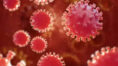 Coronavirus: India records 3,016 new COVID-19 cases | Sangbad Pratidin