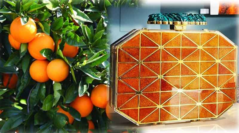 Jordanian food artist made a luxury bag by orange peel । Sangbad Pratidin