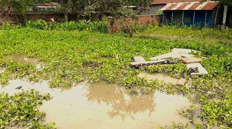 হাতে চুড়ি, পরনে মহিলাদের পোশাক, শিলিগুড়িতে নয়ানজুলি থেকে উদ্ধার নরকঙ্কাল