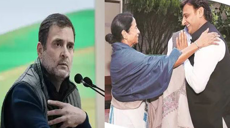 Where lies the problem of Congress to use the image of Mamata Banerjee | Sangbad Pratidin