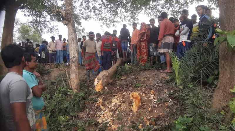 Man dies while stealing log at Shantipur, protest erupts । Sangbad Pratidin
