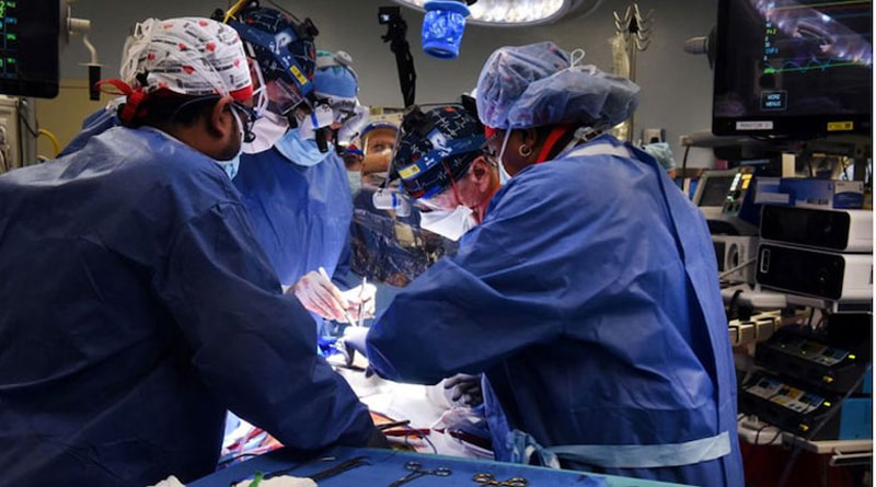 US surgeons implant pig heart in human body | Sangbad Pratidin