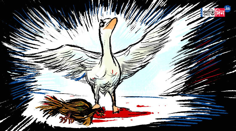Bizarre! Goose kills chicken, man approaches police seeking justice | Sangbad Pratidin