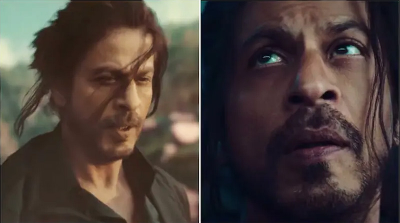 Shah Rukh Khan: কিং ইজ ব্যাক! ট্রেনের ছাদে অ্যাকশন দৃশ্যের ভিডিও শেয়ার করে চমকে দিলেন শাহরুখ