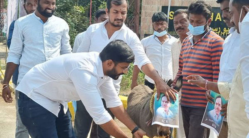 Congress leader arrested stealing donkey in Telangana | Sangbad Pratidin