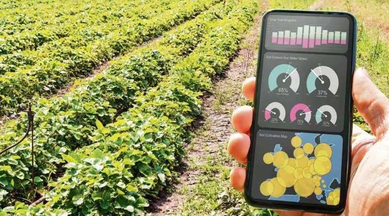 Know how to farming using technology | Sangbad Pratidin