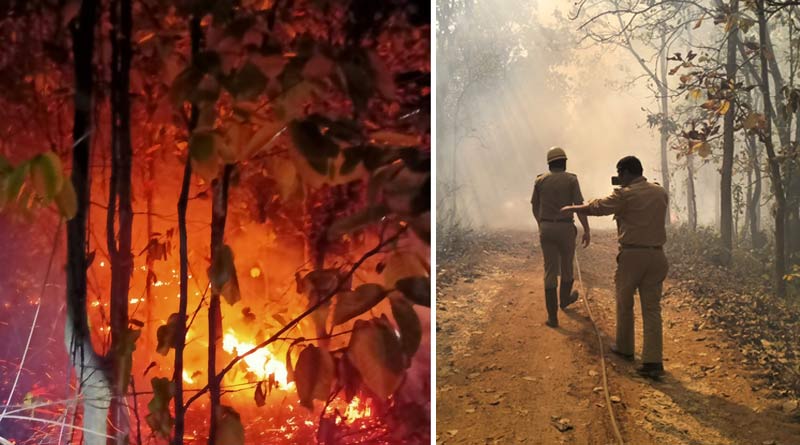 Wildfire at Aushgram, East Burdwan, willdlife terrified and seek safer place | Sangbad Pratidin