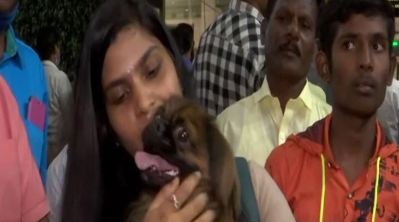 Chennai Student delays departure, forgo luggage to bring pet dog from Ukraine। Sangbad Pratidin