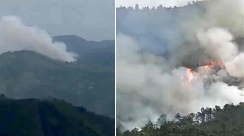 Plane carrying 133 crashes in China | Sangbad Pratidin