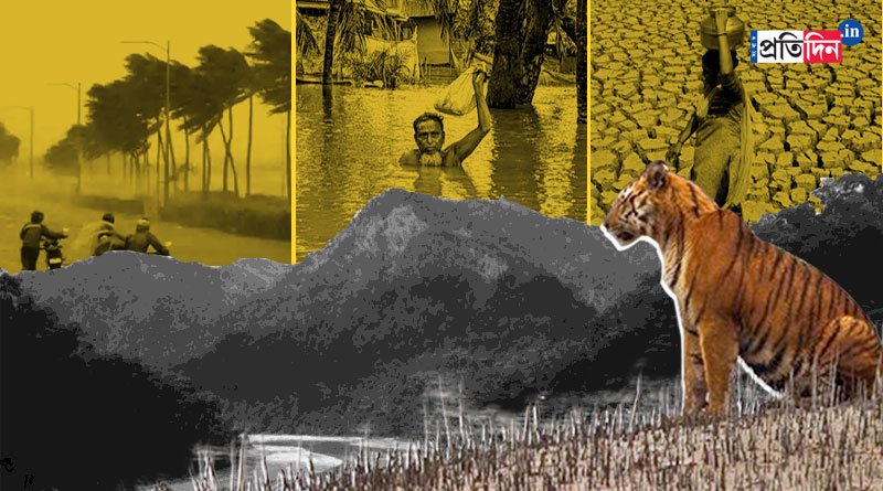 Climate Change: How will climate change affect on West Bengal, IPCC scientist explains | Sangbad Pratidin