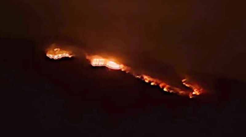 Massive fire broke out at Susunia Hill in Bankura | Sangbad Pratidin