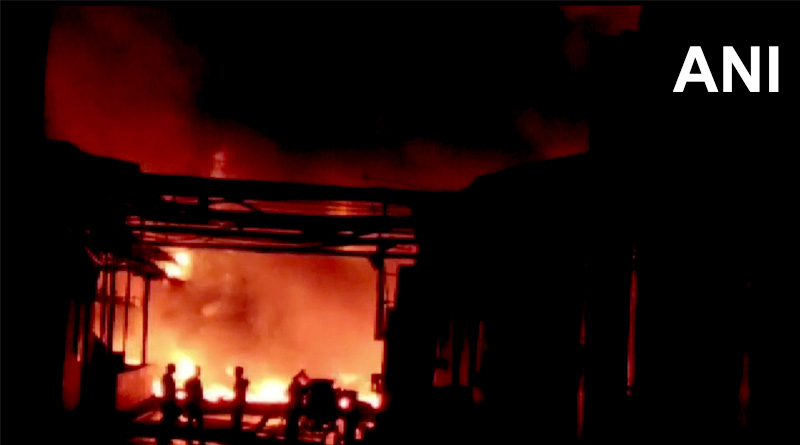 6 Killed and 12 Injured After Fire Breaks Out At Andhra Pradesh Chemical Factory | Sangbad Pratidin