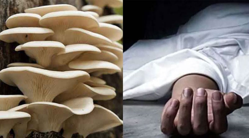13 Die of Consuming Poisonous Mushrooms In Assam | Sangbad Pratidin
