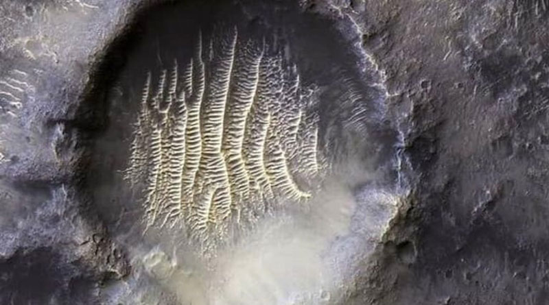 Netizens say it's alien footprints after Nasa shares a image of Mars | Sangbad Pratidin