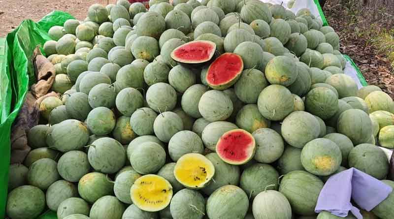 Purulia's farmers delivers watermelon to Kolkata । Sangbad Pratidin